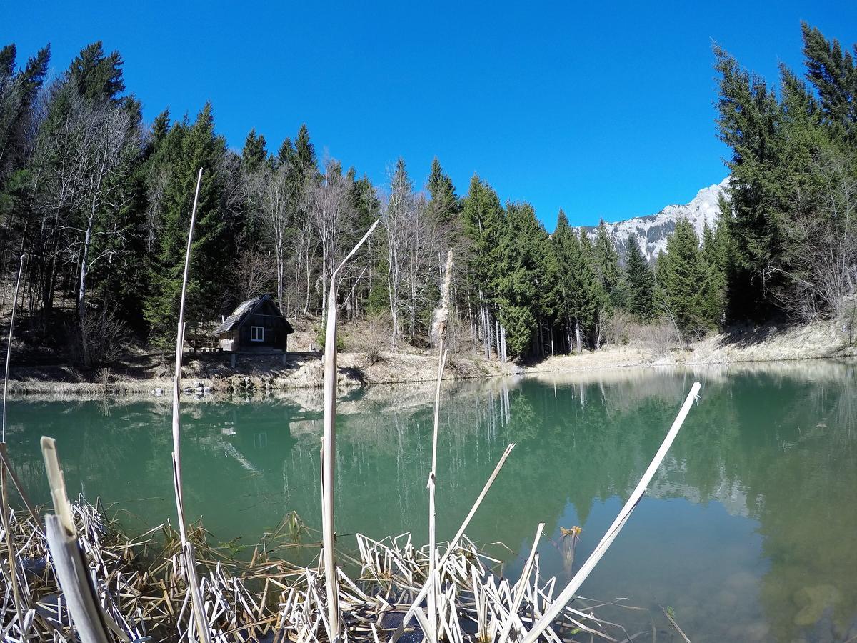 مبيت وإفطار Tržič Karami Mountainhouse المظهر الخارجي الصورة