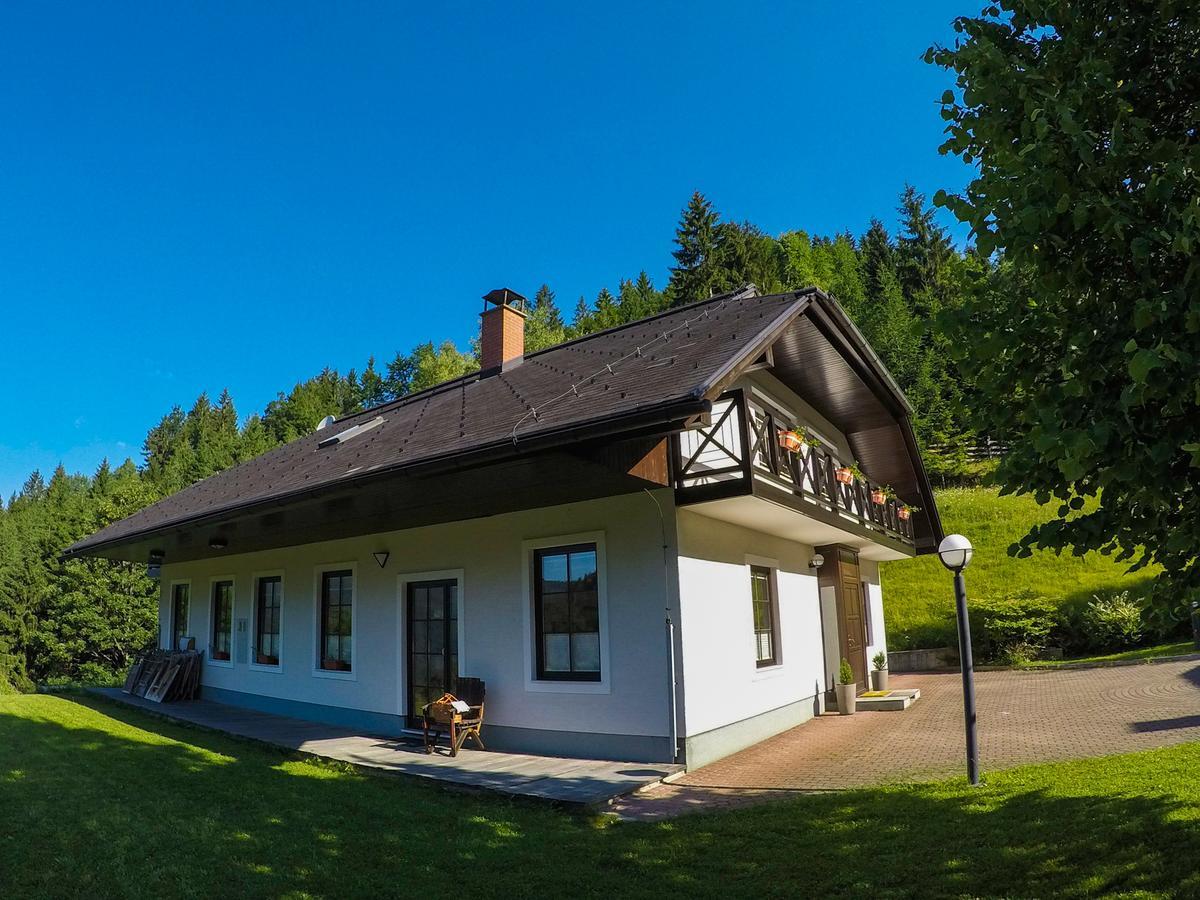 مبيت وإفطار Tržič Karami Mountainhouse المظهر الخارجي الصورة